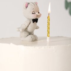 Фигурка из шоколадной глазури "Котёнок со свечкой" 